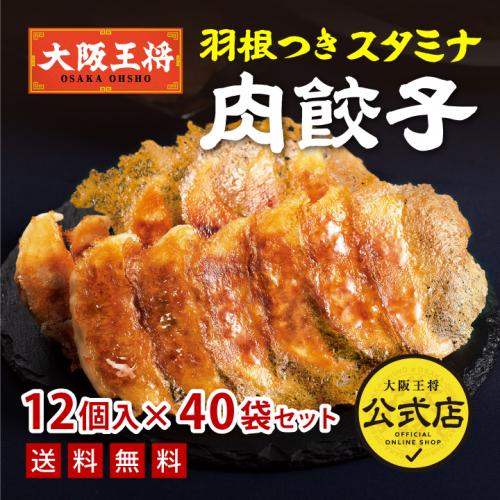 羽根つきスタミナ肉餃子12個入×40袋　20袋×2ケース【同梱不可】